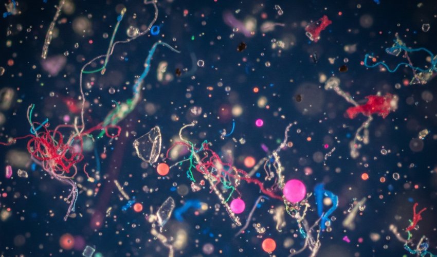 KAKO MIKRO I NANOPLASTIKA REMETE RAD VAŠEG ORGANIZMA